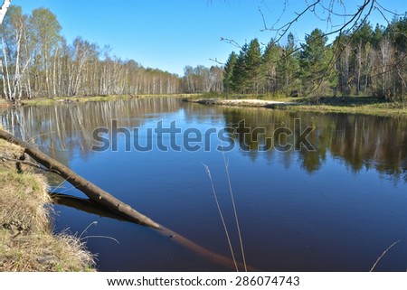 Spring river landscape. Forest river National Park in Central Russia.
