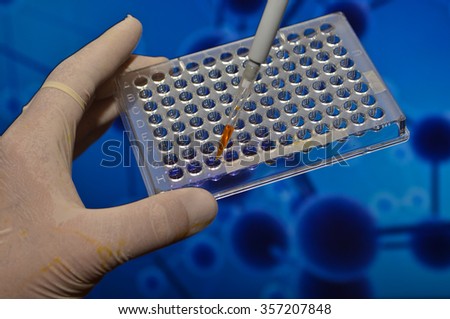 In the biomedical laboratory. The study of biological sample in a well plate.