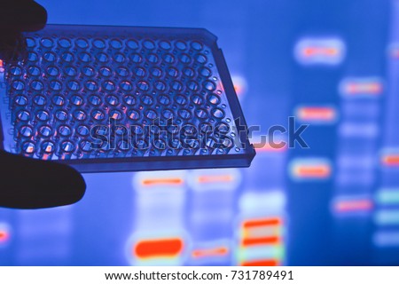 DNA testing in the laboratory. A well plate in the researcher\'s hand.