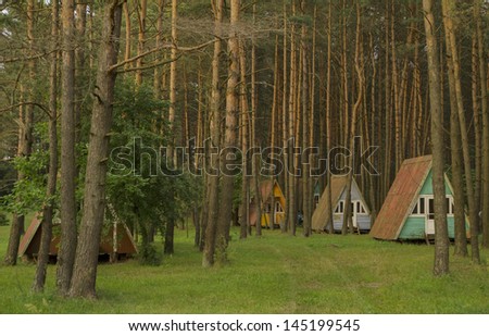 Wooden cabins houses in the pine woods. Recreation center