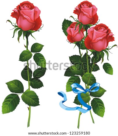 Single beautiful Red rose isolated on white background and bouquet of red roses. Vector illustration.