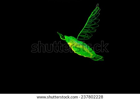 Bird in flight shape art made of glow in the dark thread material facing left direction with black background.