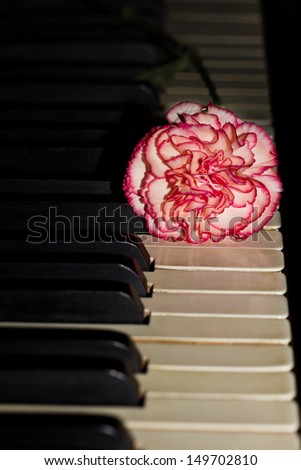 piano with white and red carnation