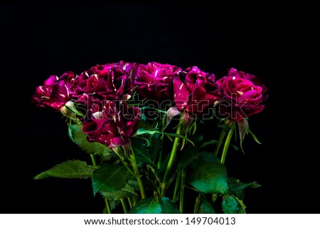 pink purple rose bouquet on black