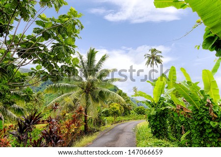 An interior path in the island of Tahiti in the French Polynesia.We can see breadfruit trees,coconut trees and banana palms