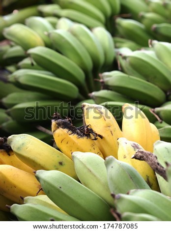 natural fresh banana green and yellow fruits from a home ecological pure natural product family farm in Bangkok Thailand