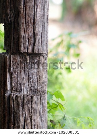 large old aged natural color and wood surface texture of a hardwood pillar of a country farm house with green leaves environment