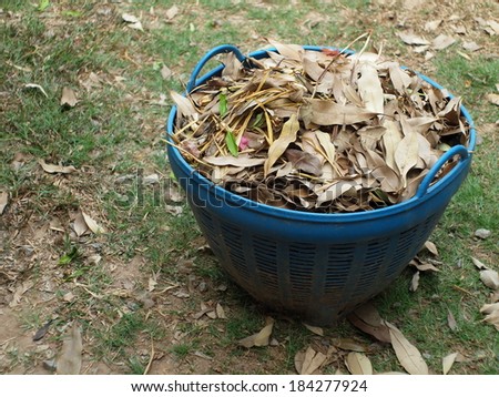 a large blue plastic bin trash container full of brown dried leaves falling collected from the green grass floor in the backyard.