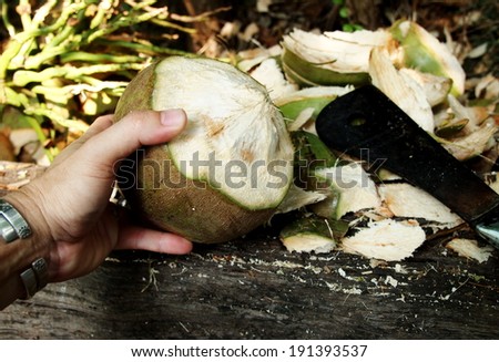 green young fresh coconut peeling, shell one side with heavy chop knife as first step of making roasted coconut, exotic but typical refreshment drink for warm summer time in Thailand.