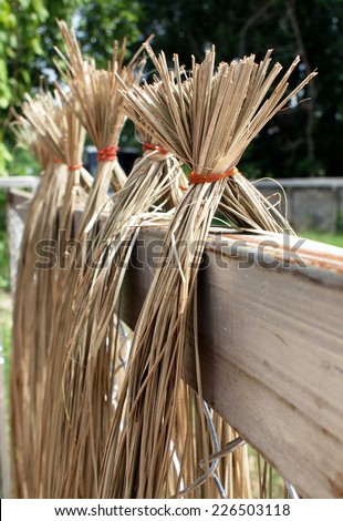 yellow brown sun dried fiber fibre of sedge, papyrus, natural fiber growing in natural wetland processed for use as raw materials for weaving traditional hand craft work product in THAILAND and asian