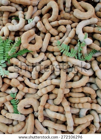 sugar sweet brown giant tamarind fruits on agricultural product street market in THAILAND