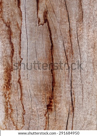 close up of old aged weathered cracked wood profile surface texture