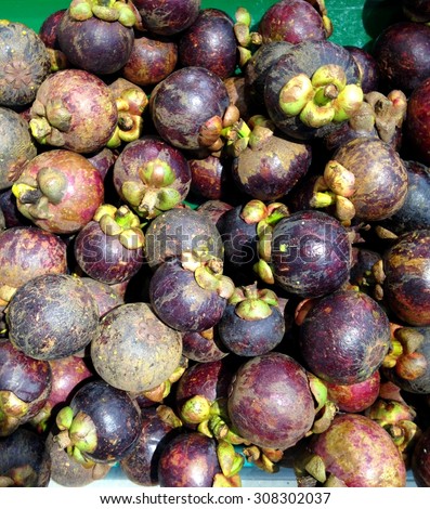 fresh mangosteen,sweet tropical exotic fruit with violet purple skin and unique look, for sale on a street market in THAILAND