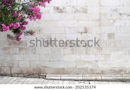 oleander flowers on empty background with medieval stone wall and paved street