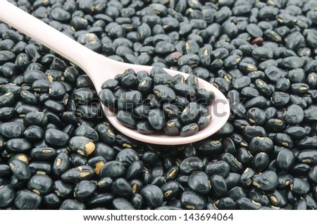 Black beans food grains in a pink spoon.