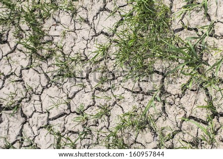 Photograph of desolate cracked soil with some patches of grass, on barren soil surface, reduced by summer scorching sun to lumps of dried mud.