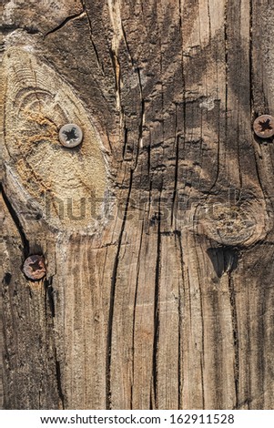 Old, weathered, rotten plank, with wood knots, lateral cracks, lichen growth and embedded rusty phillips screw heads.