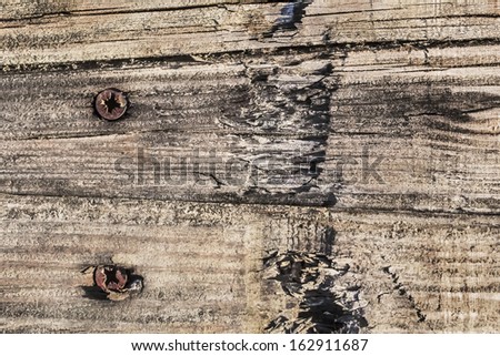 :  Old, weathered, rotten plank, with wood knots, lateral cracks, surface damages and embedded rusty phillips screw heads.