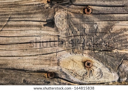 Old, weathered, rotten floorboard, with wood knots, lateral curved cracks and embedded rusty phillips screws - knot detail.
