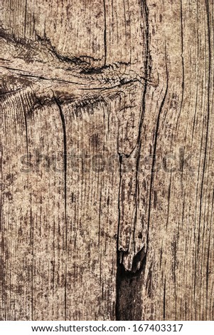 Photograph of old, weathered, plank, with large wood knot and lateral curved cracks - detail.