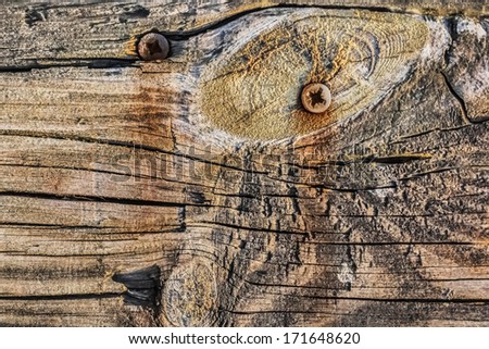 Old, weathered, rotten plank, with extremely rough, cracked surface, and four rusty phillips screws embedded.