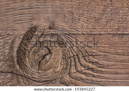 Photograph of old, roughly treated, weathered, cracked floorboard, with large wood knot.