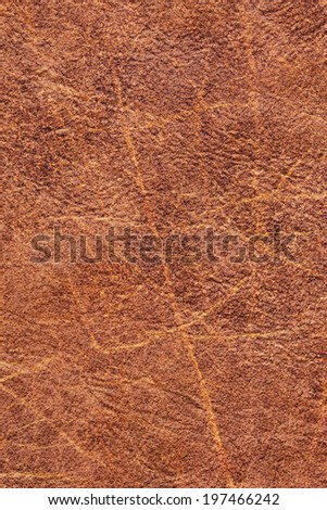 Photograph of coarse, crumpled artificial leather brown, mottled, texture sample
