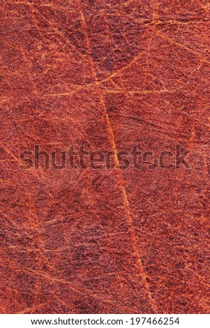 Photograph of coarse, wrinkled artificial leather Red, mottled, texture sample