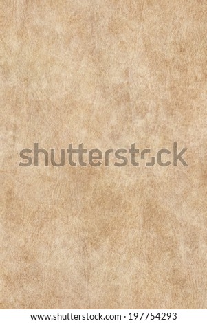 Photograph of old, animal skin parchment, coarse grained, texture sample