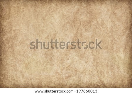Photograph of old, animal skin parchment, coarse grained, vignette, grunge texture sample