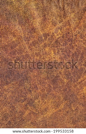 Photograph of old, weathered, rough, creased, coarse grained, exfoliated cowhide texture sample