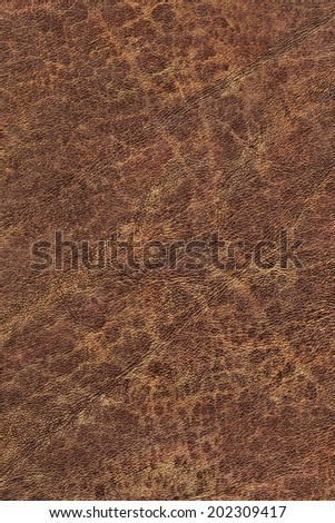Photograph of old, weathered, rough, creased, coarse grained, crumpled, exfoliated cowhide texture sample