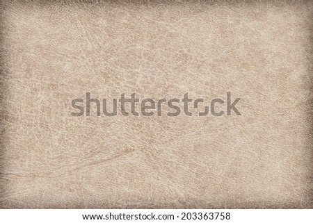 Photograph of old, animal skin parchment, coarse grained, vignette, grunge texture sample