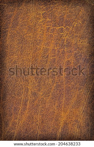 Photograph of old, weathered, rough, creased, coarse grained, crumpled, exfoliated cowhide texture, vignette sample
