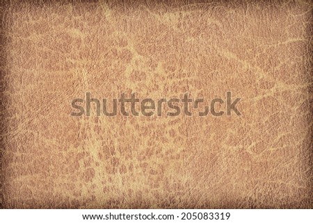 Photograph of old, weathered, rough, creased, coarse grained, exfoliated Brown leather, vignette grunge