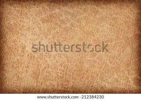 Photograph of an old animal skin parchment, creased, coarse grained, Light Brown, vignette grunge texture sample