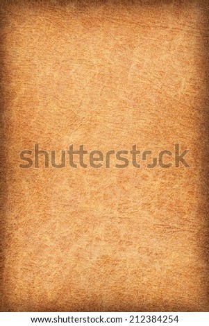 Photograph of an old animal skin parchment, creased, coarse grained, Light Brown, vignette grunge texture sample