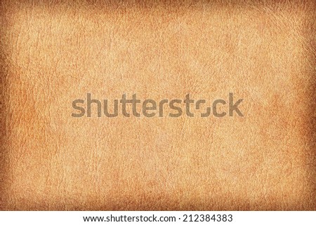 Photograph of an old animal skin parchment, creased, coarse grained, Yellow Ocher, vignette grunge texture sample