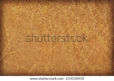 Photograph of old, weathered, rough, creased, coarse grained, exfoliated vivid Ocher leather, vignette grunge texture sample.