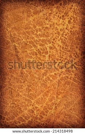 Photograph of old, weathered, rough, creased, coarse grained, exfoliated vivid Ocher leather, vignette grunge texture sample.