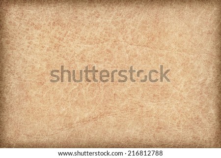 Photograph of an old animal skin parchment, creased, coarse grained, mottled, pale Yellow Ocher, vignette grunge texture sample