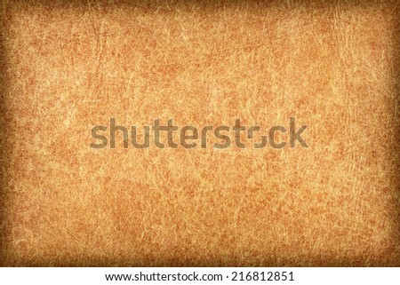 Photograph of an old animal skin parchment, creased, coarse grained, mottled, Yellow Ocher, vignette grunge texture sample