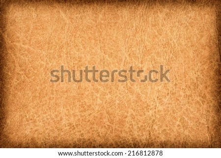Photograph of an old animal skin parchment, creased, coarse grained, mottled, Red Ocher, vignette grunge texture sample