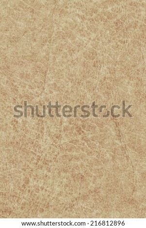 Photograph of an old animal skin parchment, creased, coarse grained, mottled, pale Yellow Ocher grunge texture sample