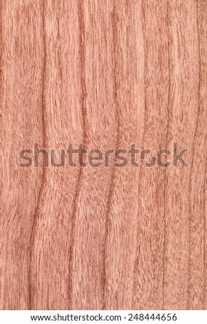 Natural Cherry Wood Brownish Red Veneer, grunge texture sample