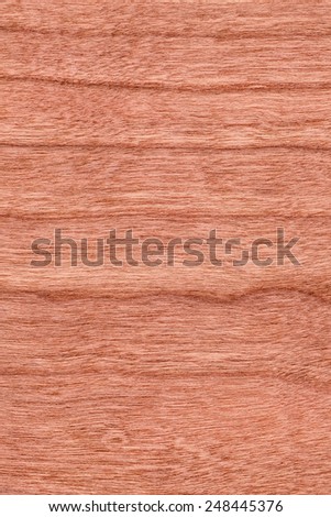 Photograph of Reddish-brown Cherry Wood Veneer grunge texture sample.