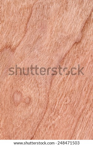 Natural Cherry Wood Brownish Red Veneer, grunge texture sample.