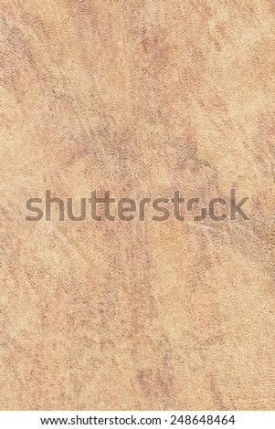 Photograph of old, Yellow-ocher Animal Skin Vellum, coarse grained, grunge texture.