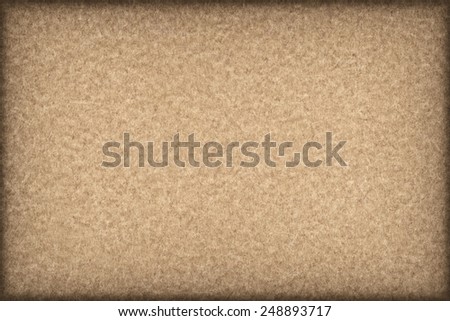Photograph of Recycle Ocher Paper, extra coarse grain, bleached, mottled, vignette grunge texture sample.