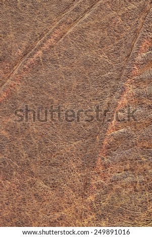 Photograph of old Brown, weathered, rough, creased, coarse grained, exfoliated Cowhide grunge texture.